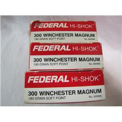 Ammo Box Federal 300 win mag                        x3
