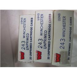 Box of .243 win  brass         x3