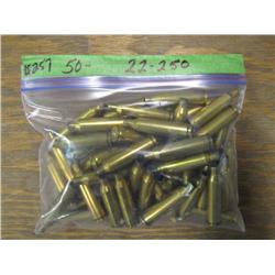 Bag of Brass 50 pcs                 .22-250