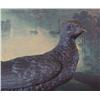 Image 3 : Splendid Bronze Sculpture Pheasant Bird