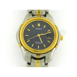 Seiko Perpetual Calendar Watch