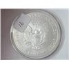 Image 2 : 1999 AMERICAN SILVER EAGLE (UNC)