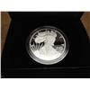 Image 1 : 2010-W AMERICAN SILVER EAGLE PROOF