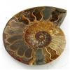 Image 1 : 1525ct Opalized Crystalized Lg Ammonite Cut Half (MIN-000008)