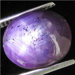 11.15ct Natural Star Ruby Well Patterned  (GEM-32137)