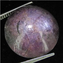 39.40ct Natural Star Ruby Well Patterned  (GEM-32157)