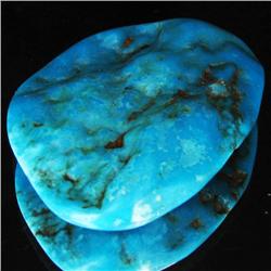 113.3ct Natural Turquoise Cabochon  (GEM-32672)