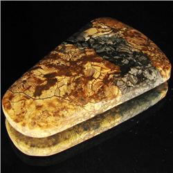 68.33ct Rare Spider Agate Cabochon (GEM-33115)