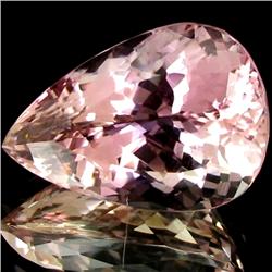 48.5ct Flawless Imperial Patroke Pink Kunzite (GEM-18407)