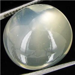 19.50ct Clear Misty Moonstone Cat's Eye Cabochon  (GEM-32040)