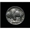 Image 2 : 1920-s Buffalo Nickel 5c Grades Select Uncirculated ms63