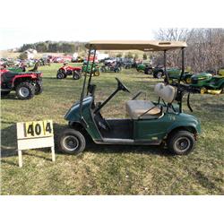 2007 EZ-Go electric golf car           SN-2500319