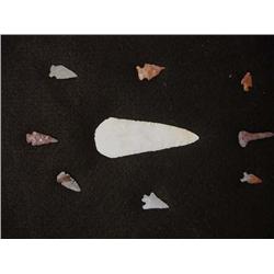 Native American Arrow/Spear Points in Reiker Box