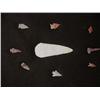 Image 1 : Native American Arrow/Spear Points in Reiker Box