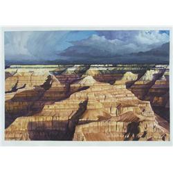 Native American Navajo Painting By Chris Peshlakai