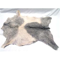 Goat Pelt Rug