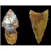 Image 2 : Native American Arrow/Spear Points in Riker Box