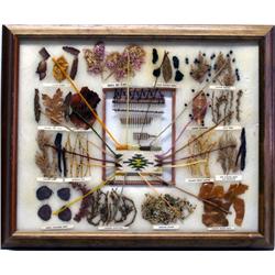 Native American Navajo Framed Dye Chart