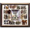 Image 1 : Native American Navajo Framed Dye Chart