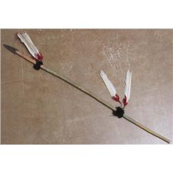 Native American Plains Dance Lance