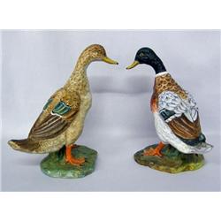 Italian Porcelain  Ducks by Corbet