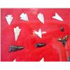 Image 2 : Arrow Head Collection 31 Total In Display Box