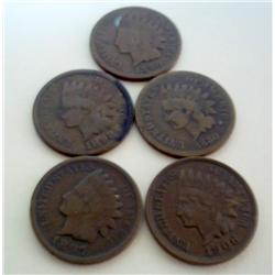 5 Indian Head Pennies