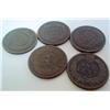 Image 4 : 5 Indian Head Pennies