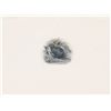 Image 1 : THE INTERNATIONAL BANK OF CANADA. Die Proof Vignette. ‘Beaver’. 7” x 5 1/2”. The vignette appears on