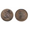Image 1 : 1891. Large Date, Large Leaves. ICCS Mint State-63. Red-Brown. 50%/40% luster on obverse/reverse. Sp