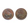 Image 1 : 1891. Small Date, Large Leaves. ICCS Mint State-62. Brown.