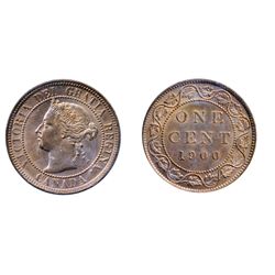 1900. Plain. ICCS Mint State-64. Red. 90%+ red luster.