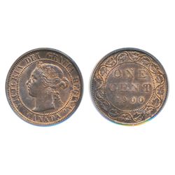 1900. Plain. PCGS graded Mint State-64. Red-Brown. 40% evenly distributed red luster.