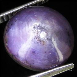 7.55ct Natural Star Ruby Well Patterned  (GEM-32101)