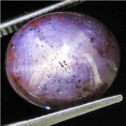 16.50ct Natural Star Ruby Well Patterned  (GEM-32126)