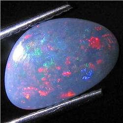 1.38ct Australian Black Opal Doublet Full Fire (GEM-31449)