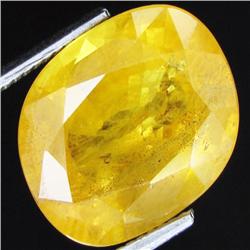 13.07ct Golden Yellow Sapphire Appraised $32k (GEM-21471)