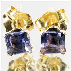 1.17ctw Iolite 10k Gold Earrings (JEW-2910)