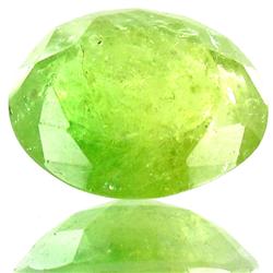 12.32ct Demantoid Garnet Appraised $59k (GEM-25861)
