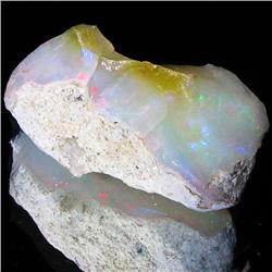 31.8ct Etheopian Opal Rough  (GEM-32731)