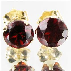 2.27ctw Garnet 10k Gold Earrings (JEW-2913)