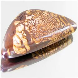 51.10ct Australian Bounder Opal  (GEM-31369)