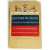 Image 1 : Culture In Crisis