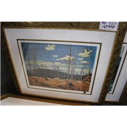 LIMITED EDITION PRINT 201/777 BURNT OVER FOREST