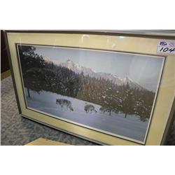 LIMITED EDITION PRINT 943/950 EVENING GLOW WOLF