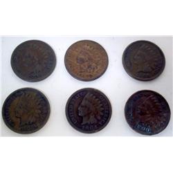 6 Indian Head Pennies
