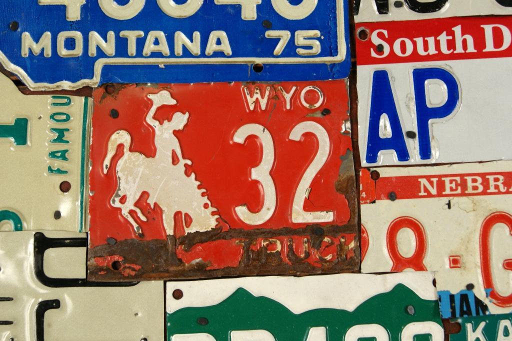 United States License Plate Map - 10513288 5