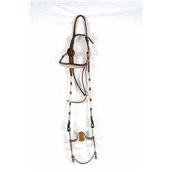 Silver Bridle & Fleming Bit
