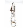 Image 1 : Silver Bridle & Fleming Bit
