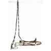 Image 2 : Fancy Silver Bridle and bit with reins